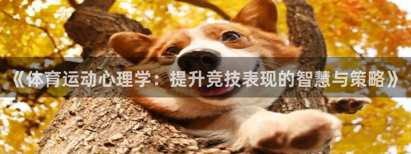 雷速体育下载app：《体育运动心理学：提升竞技表现的智慧与策略》