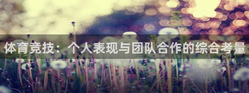 雷速发专家号预测能赚钱吗