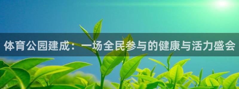 雷速球王古德温：体育公园建成：一场全民参与的健康与活力盛会
