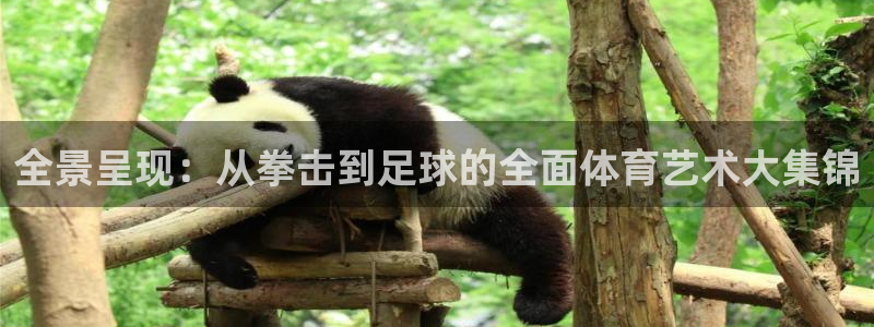 雷速体育篮球