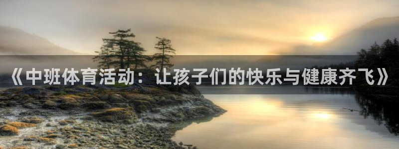雷速科技有限公司