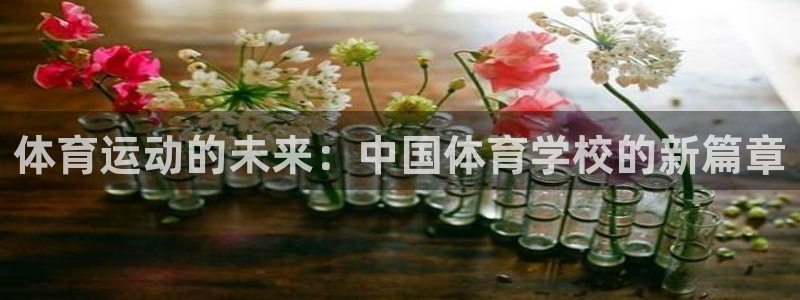 雷速荷甲：体育运动的未来：中国体育学校的新篇章