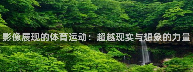 雷速比分体育
