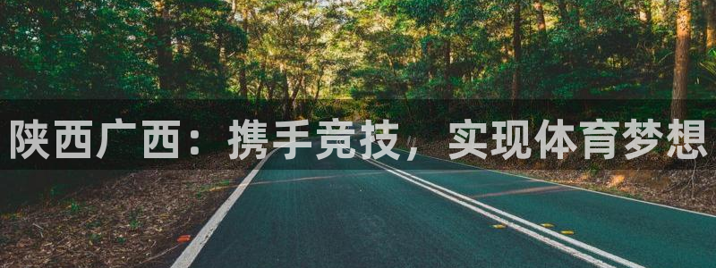 雷速体育即时比分：陕西广西：携手竞技，实现体育梦想